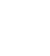 Reason 5